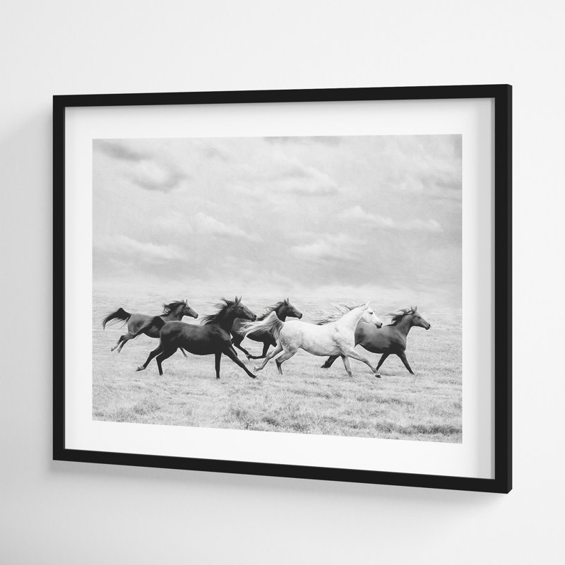 Horse Run I by PHBurchett, 15" H x 18" W, Black