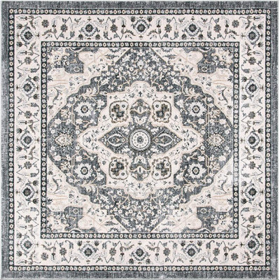 Aaysha Performance Oriental Rug