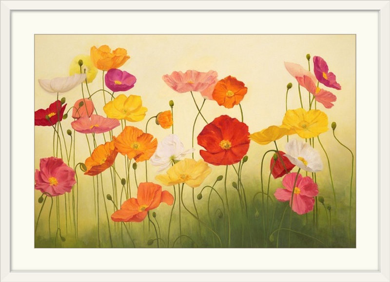 «Sunlit Poppies» par Janelle Kroner, reproduction d'art, H 20 po x l 26 po x p 1 po, Cadre blanc