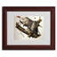 « virginy opossum » par john james audubon, reproduction d’art encadrée-11809674-19448973