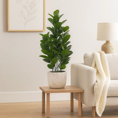 Arbre à garuccia artificiel, pot de ciment blanc de 31 pouces, feuilles de soie verte