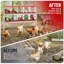 Boîte de nidification de poulet, 10 boîtes de nidification en métal pour poulailler, collection facile d'œufs, nettoyage facile, boîtes de ponte avec poules de support pour poules-746780184-571270882