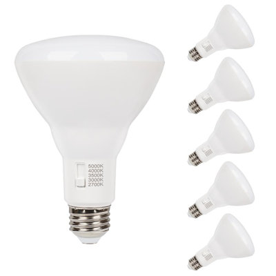 Ampoules DEL Westinghouse 9 W (équivalent 65 W) Frost BR30, culot moyen (E26), à intensité variable et température de couleur sélectionnable, lot de 6