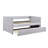 Modern Daybed with Pull-Out Trundle, Side Storage Pockets, and Nailhead Trim for Versatile Guest Accommodation.-1735462726