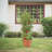 Eastman Weather Resistant Plant Support