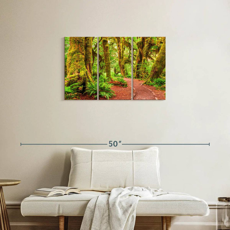Mossy Hoh Rainforest Trees, H 20 po x l 33 po