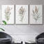 "Dicat Botanical I", reproduction sur toile 3 pièces-91890847-91890848