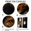 Lion d'or de minuit - impressions sur toile brunes-1205212208-1205212211-1205212212
