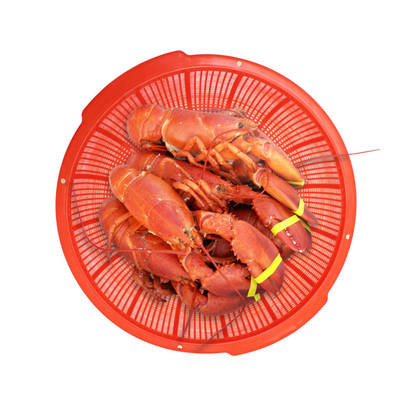 Thunder Group Inc. 2 - Piece Plastic Colander Set