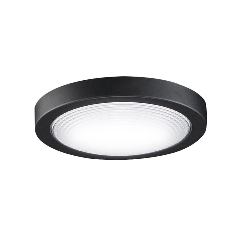 Spitfire Ceiling Fan LED Light Kit - Black, Black