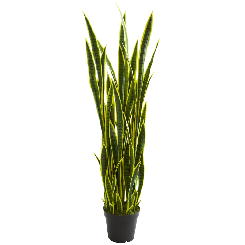 Plante de serpent artificiel 60" en pot