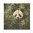 Hideaway Panda Bamboo Foliage II - Panda Animal On Wood Print-2025000777