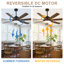 Ventilateur de plafond industriel en cage 60 "avec lumière et télécommande