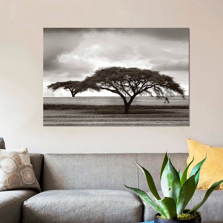 « d’acacia trees », reproduction de photo sur toile, H 26 po x l 40 po x P 1,5 po, Pas de tapis, Toile tendue