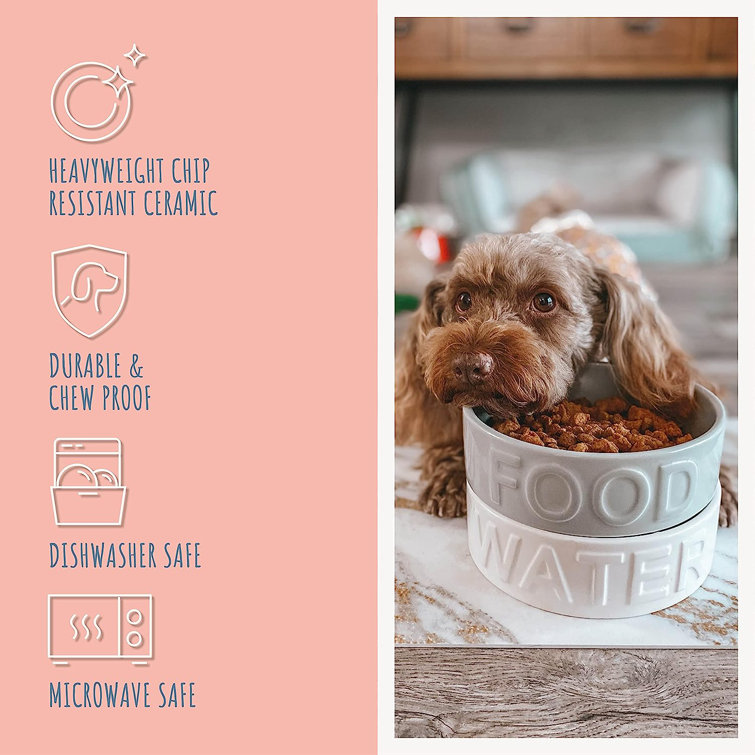 Wayfair  Dog & Pet Bowls & Feeders You'll Love in 2024