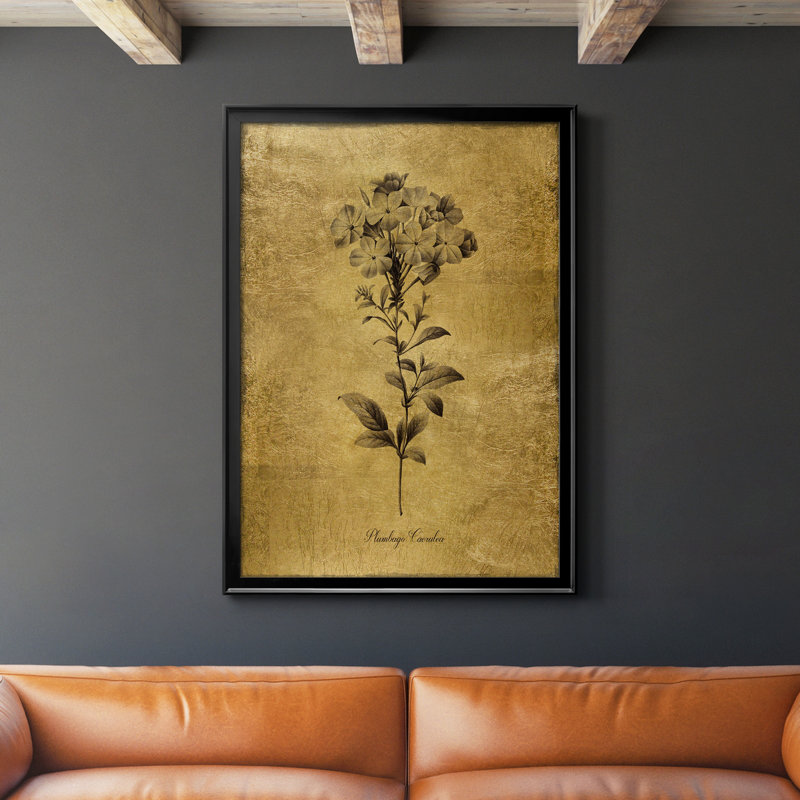 Ameelya, croquis dorés botaniques II, impression sur toile encadrée, H 26,5 po x l 36,5 po x P 1,5 po, Noir