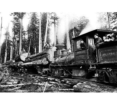 " Logging Train " by Darius Kinsey
