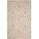 Whittlesey Hand Woven Viscose/Wool Geometric Rug in Ivory/Beige