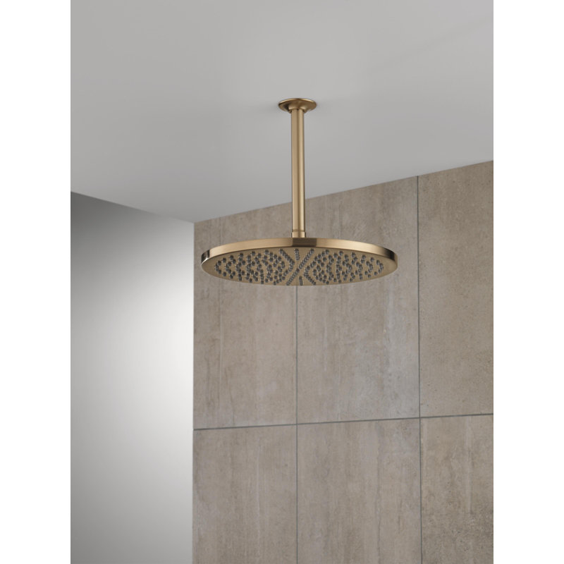 Pomme de douche à réglage unique, Bronze champagne