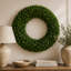Boxwood Wreath-1919842297
