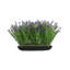 Outdoor UV-Rated Lavender in Rectangular Planter