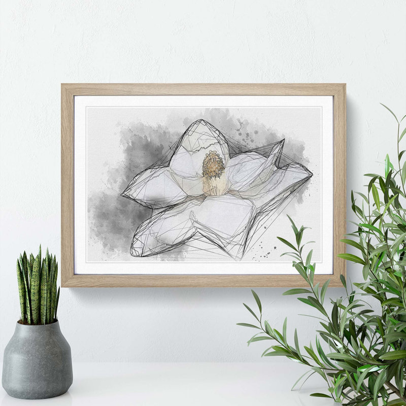 Blooming White Magnolia in Abstract - Picture Frame Drawing Print, Oak Framed, 27cm H x 36cm W x 2cm D