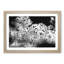 Birds On The Move Painting - Single Picture Frame Print on MDF-56633792-56633789