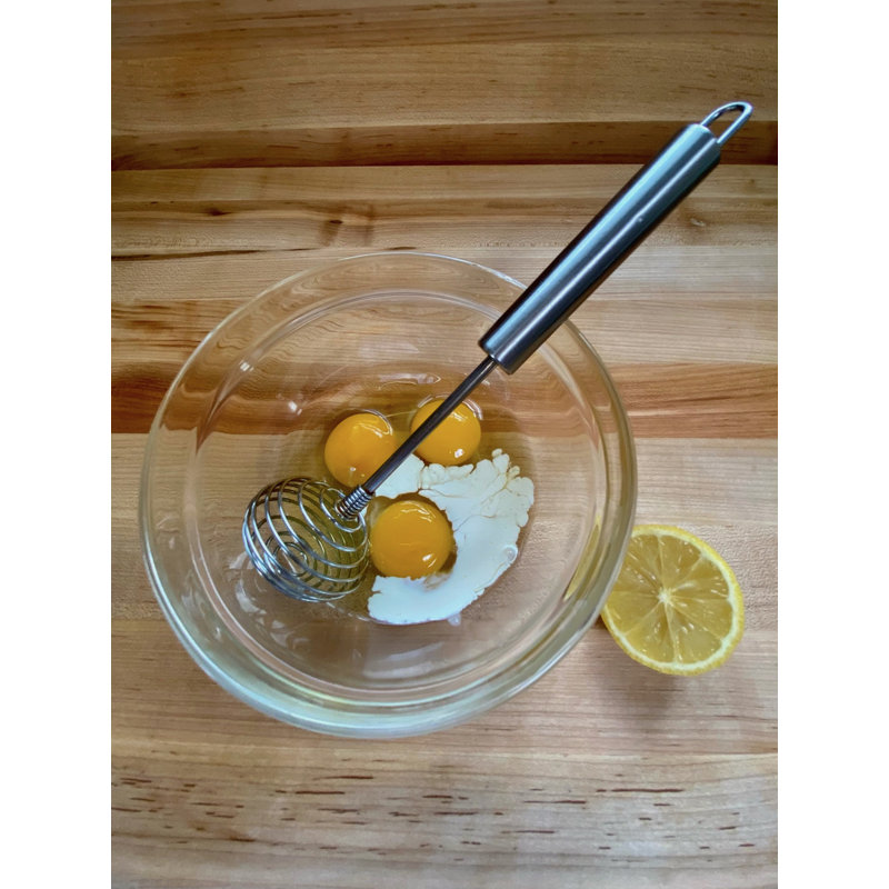 Spring Head Whisk 10"