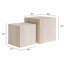 Ensemble de tables basses 2 pièces Rosabel Cambro
