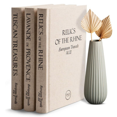 Ensemble de 3 faux livres pour la décoration