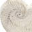 11.5X6.7X7.7 Inches Sand And Cement Planter In Shell Appearance With Neutral Colorway For Herb Arrangement Kitchen 7.6 Lbs Made Of Sandy Beige Finish To Complement Coastal Bohemian Decorative Styles