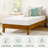 Sleep by Wayfair™ 6" Medium Memory Foam Mattress-230587163