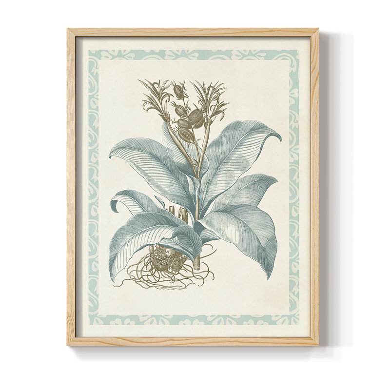 Reproduction encadrée Willow Blue Besler III - bois massif, H 11 po x l 9 po