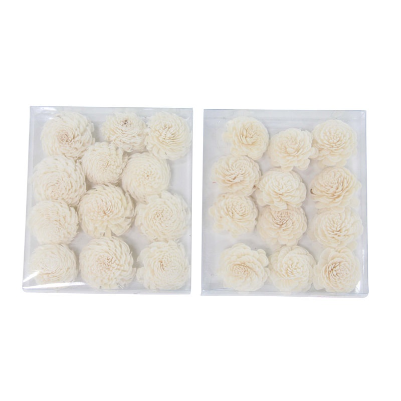 Fleur d’oeillet naturel en boîte sola