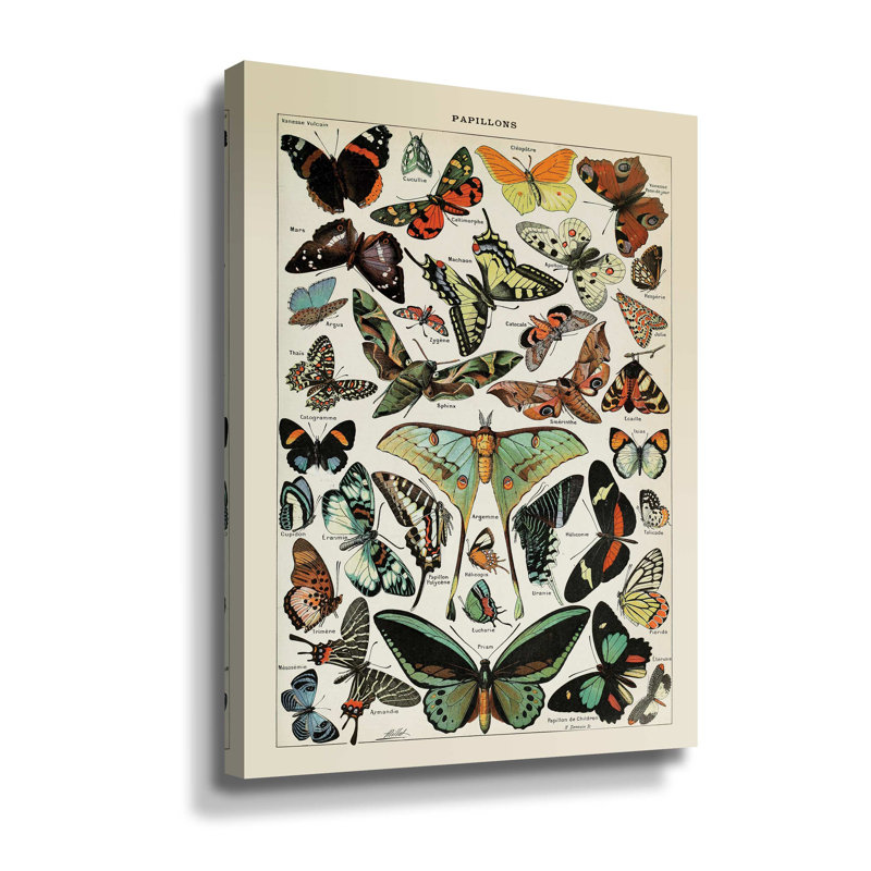 Papillons 1 - Impression sur toile, H 10 po x l 8 po x P 2 po, Toile tendue