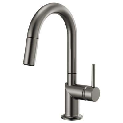 Odin® Pull-Down Prep Faucet with Arc Spout