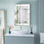 Holtz 500mm W 720mm H Surface Frameless Medicine Cabinet Mirror 2 Fixed
