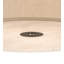 Zionsville 3 - Light Flush Mount-1690925341