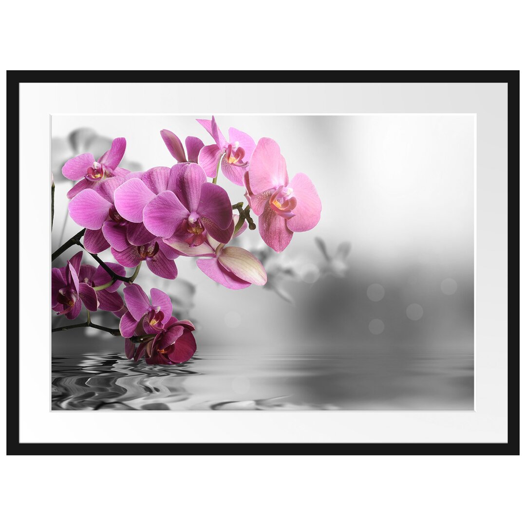 Gerahmtes Poster Orchideenblüten über Wasser