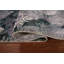 Tapis moderne à motif abstrait All-Over 6 x 9