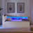 Multi-Functional Daybed With Two Storage Drawers & LED Lights,Wireless Charging-2006236391