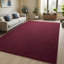 Solid Colour Shag Area Rug-121281090-121281094