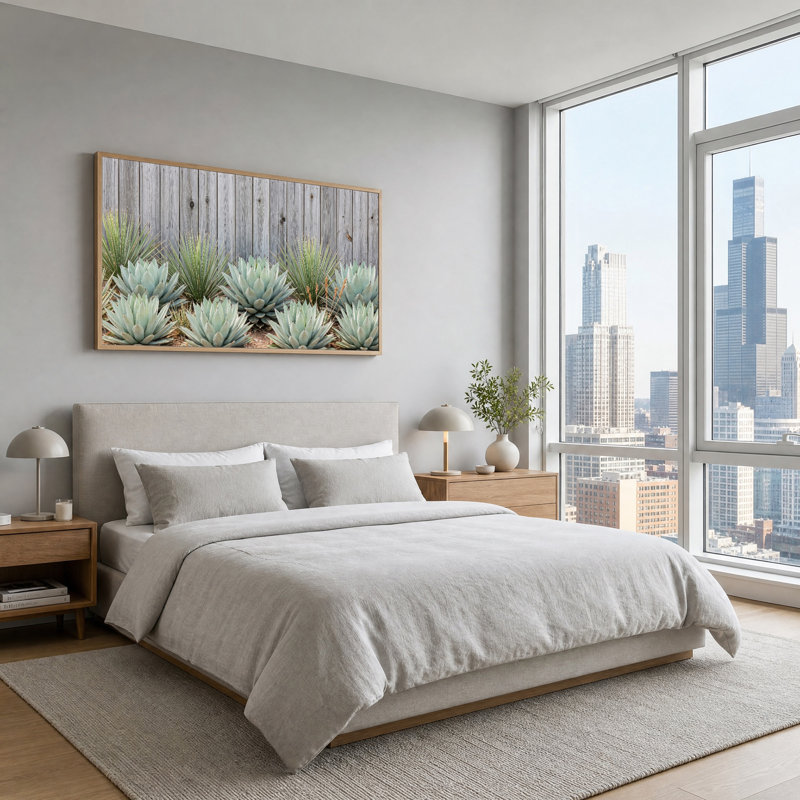 «Blue Agave Plants Contre Grey»