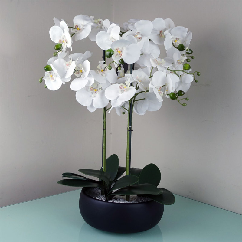 60cm Faux Plant in Ceramic Pot, White, Black