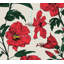 Hibiscus Haiti Flower Wallpaper-101110642