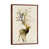 Brown Floater Framed