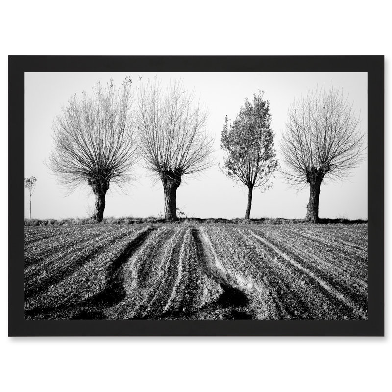 Trees Horizon Winter Field Black White - Single Picture Frame Print