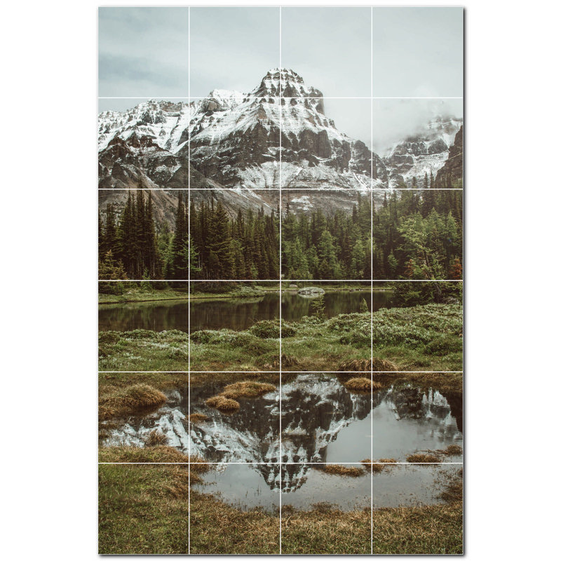 6 x 6