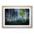 Oak Framed