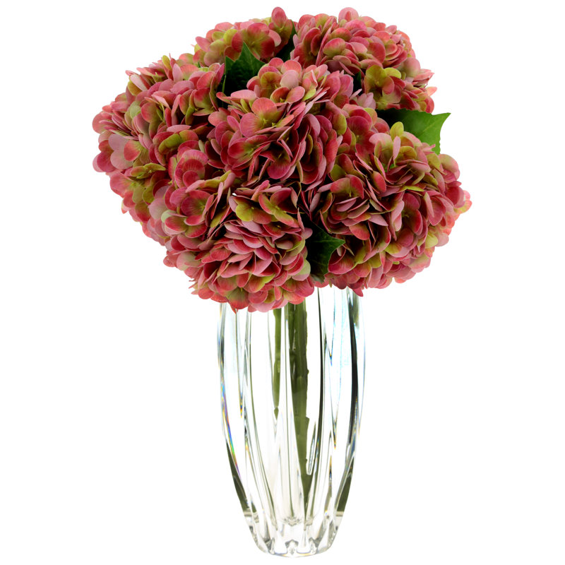 Hortensia vibrant naturel, boîte de 6 à 19 pouces, Rouge